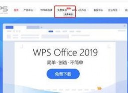 最新国产网站,创新驱动，引领行业未来