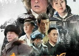 国产高清片,视觉盛宴中的文化传承与创新