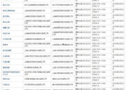 最新国产网址,盘点最新国产网址，解锁科技生活新体验