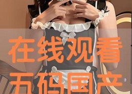 国产码在线,解码我国科技发展新篇章