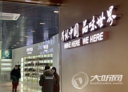 国产精品馆,匠心独运，传承与创新并重的文化瑰宝之旅