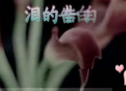 国产3p对白在线视频,揭秘激情四溢的私密世界